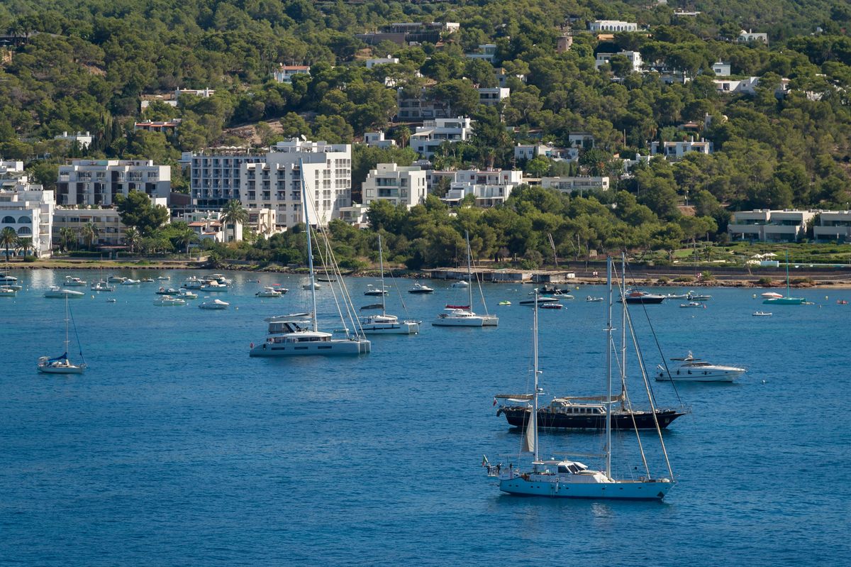 Przed letnim sezonem na Ibizie hiszpański resort zdrowia postrzega przed komarem roznoszącym dengę - zakażenie, której objawy są podobne do grypy