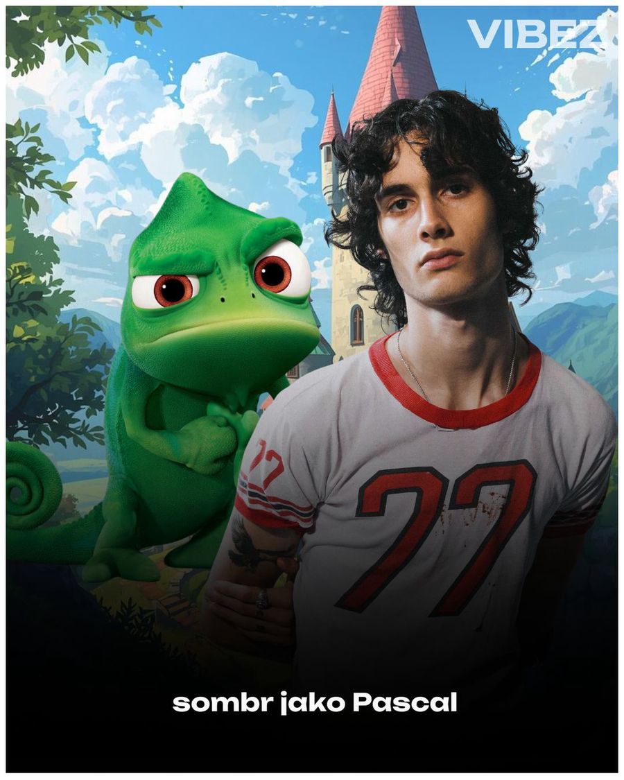 (NIE)oficjalna obsada aktorskiego filmu "Zaplątani"