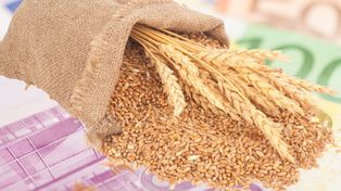 Ceny zbóż w górę po zapowiedzi umowy handlowej USA–Chiny