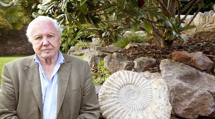 David Attenborough i cuda natury 3