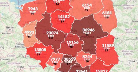 Koronawirus w Polsce. Ponad 10 tys. nowych przypadków. Nie żyje 45 osób [Aktualna mapa]