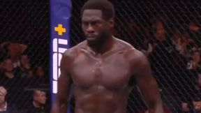 MMA. UFC Kopenhaga. Jack Hermansson - Jared Cannonier. Grad ciosów zakończył walkę! (wideo)