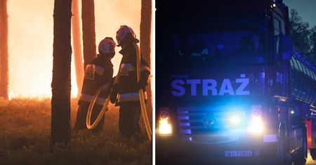 Pożar lasu w Międzylesiu. Służby sprawdzają, czy doszło do podpalenia