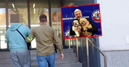 Ukradli psy byłemu burmistrzowi Zurychu. Zażądali okupu