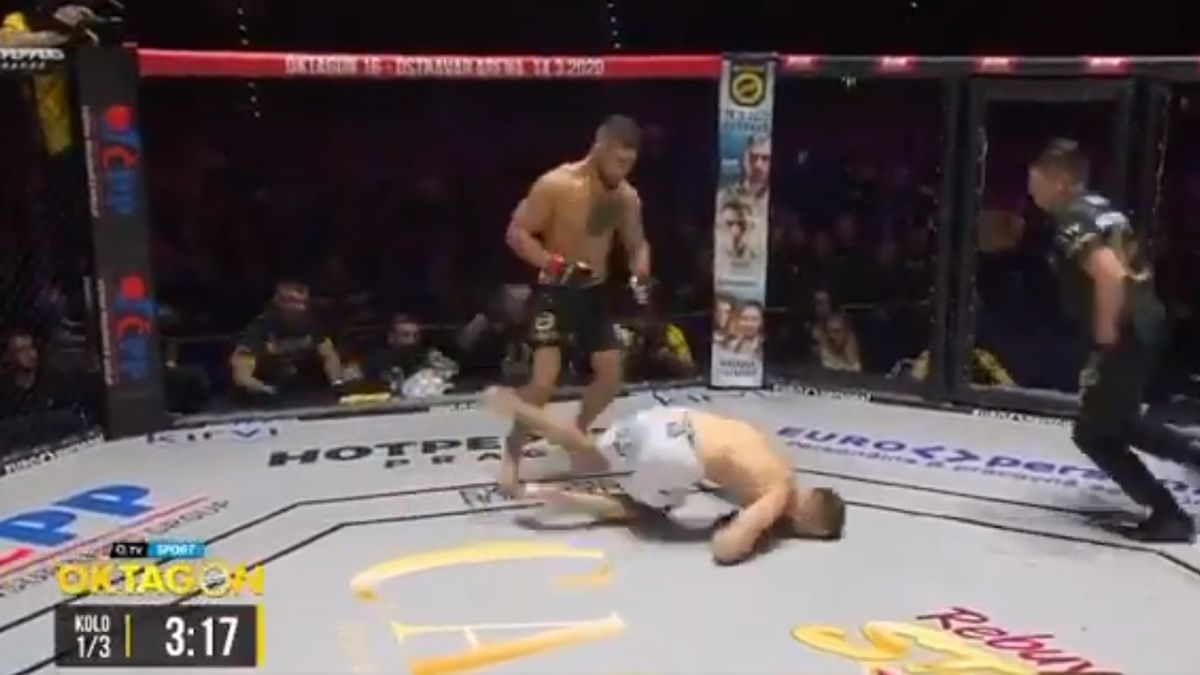 Twitter / Czesi i Słowacy zachwycają się nokautem Mateusza Legierskiego