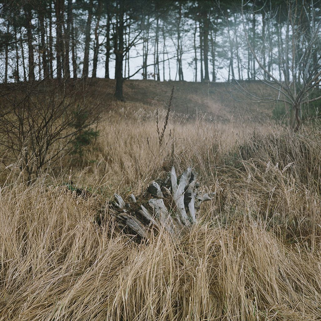 Marlena Jabłońska - laureatka drugiej edycji „Pokaż się” w ramach  5. Opolskiego Festiwalu Fotografii 15