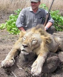 Myśliwy, który pozował z zabitym lwem, sam zginął podczas polowania