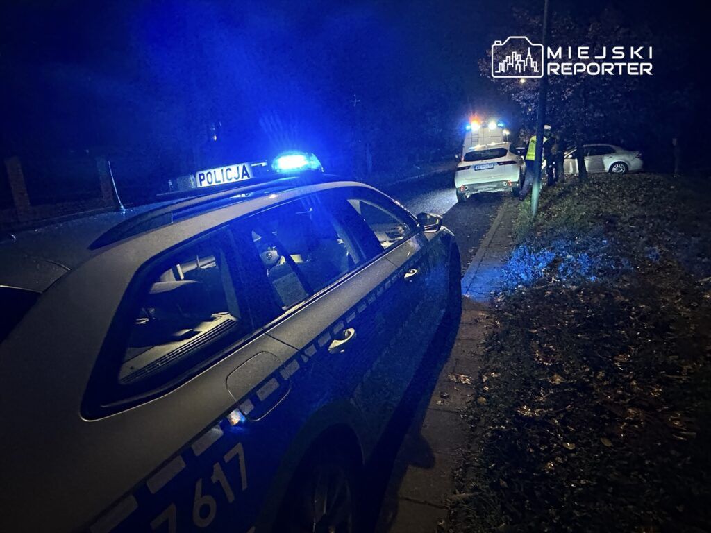 Policyjny radiowóz z włączonymi sygnałami świetlnymi stoi na poboczu, obok parkujący samochód, w nocy.