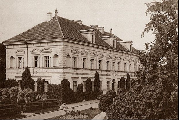Obraz