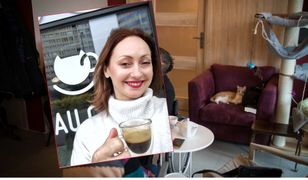 "To był strzał w dziesiątkę". Warszawska kawiarnia z kotami w kilka dni zebrała 20 tys. zł