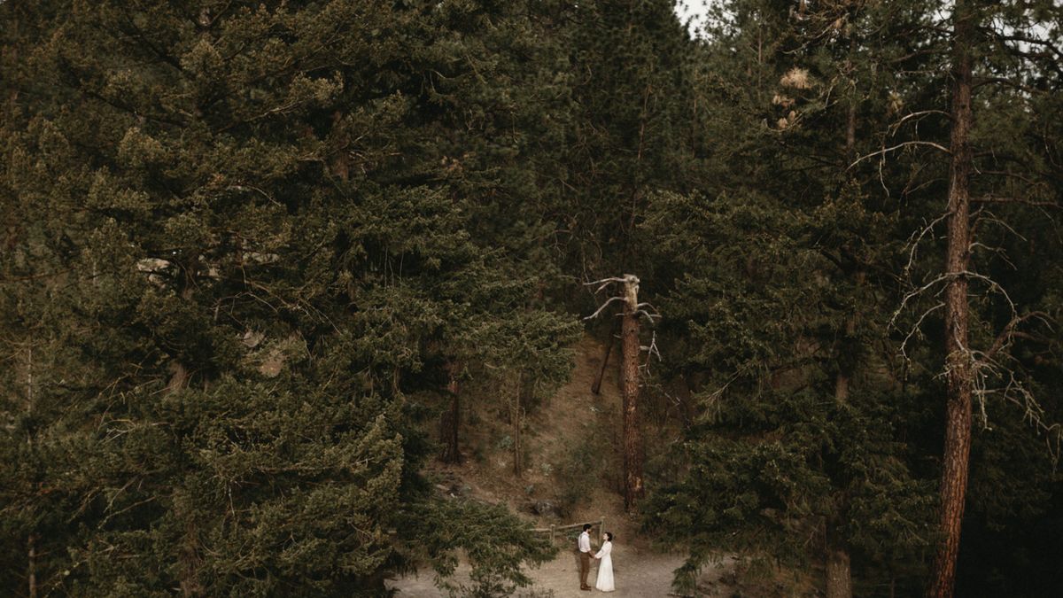 Oto 30 wschodzących gwiazd fotografii ślubnej 2016 roku. Takie będą trendy? 1