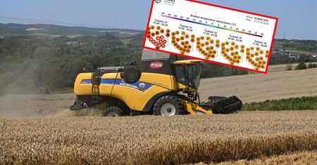 Pogoda na sierpień. Upały i gwałtowne burze na horyzoncie