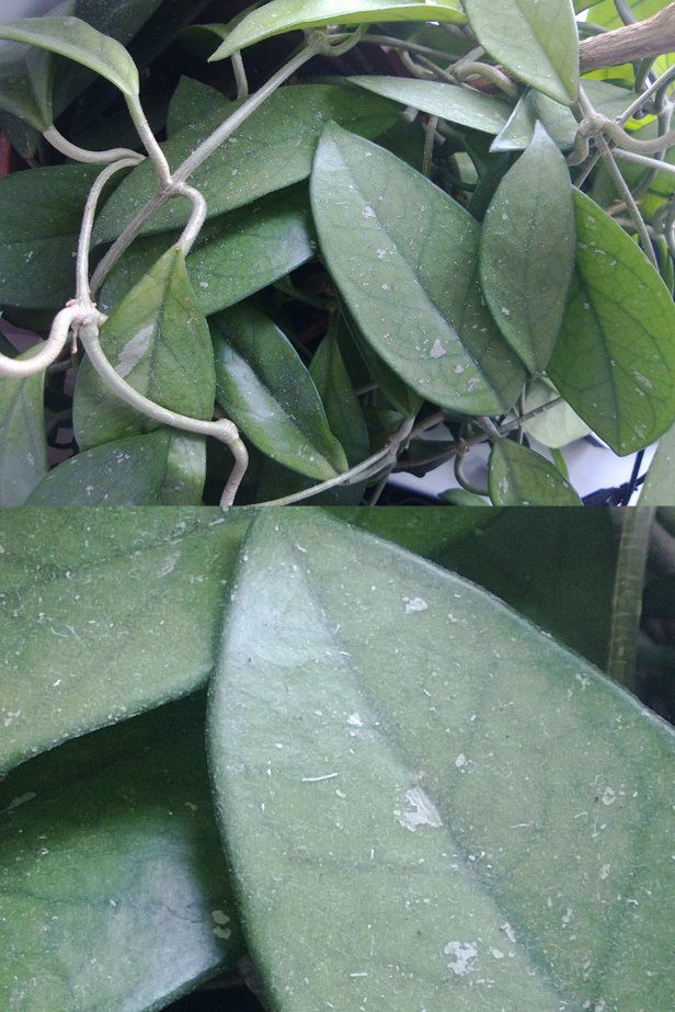 Nokia Lumia 920 - królowa nocnych zdjęć [test] 17