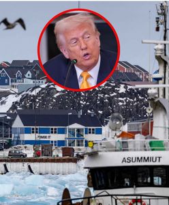 Grenlandia wybiera przyszłość. Wybory w cieniu zapowiedzi Trumpa