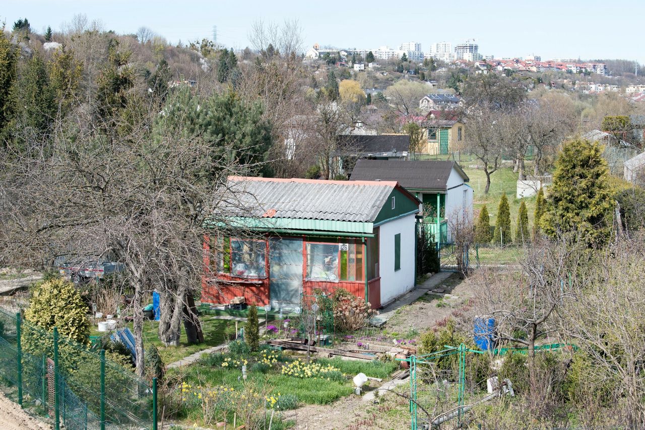 Co dalej z ogródkami działkowymi? Jest stanowisko ministerstwa