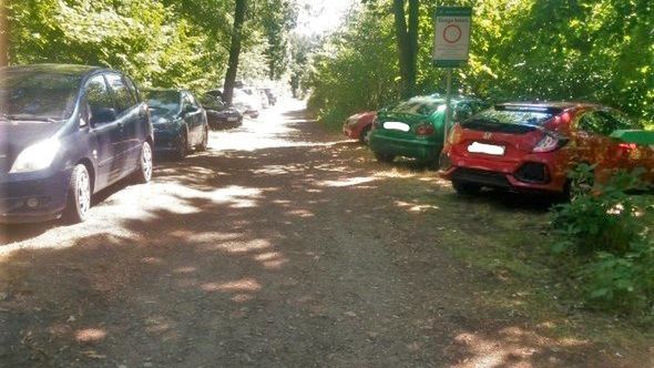 Samochody zaparkowane za zakazem wjazdu