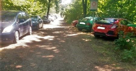 Zdjęcie z polskiego lasu. "Sznur samochodów"