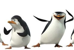 Spotkania z ''Pingwinami z Madagaskaru'' w kilku miastach Polski