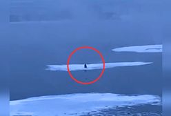 Dryfował w kierunku Arktyki. Rosjanin nagle zniknął z horyzontu