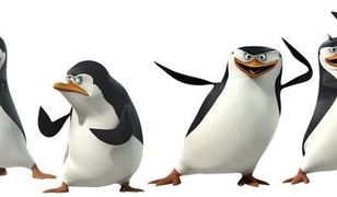 Spotkania z ''Pingwinami z Madagaskaru'' w kilku miastach Polski