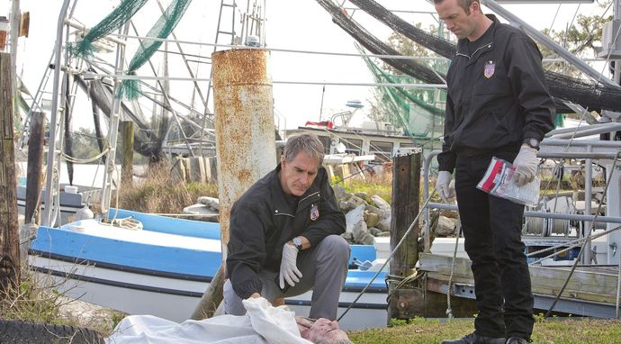 Agenci NCIS 11