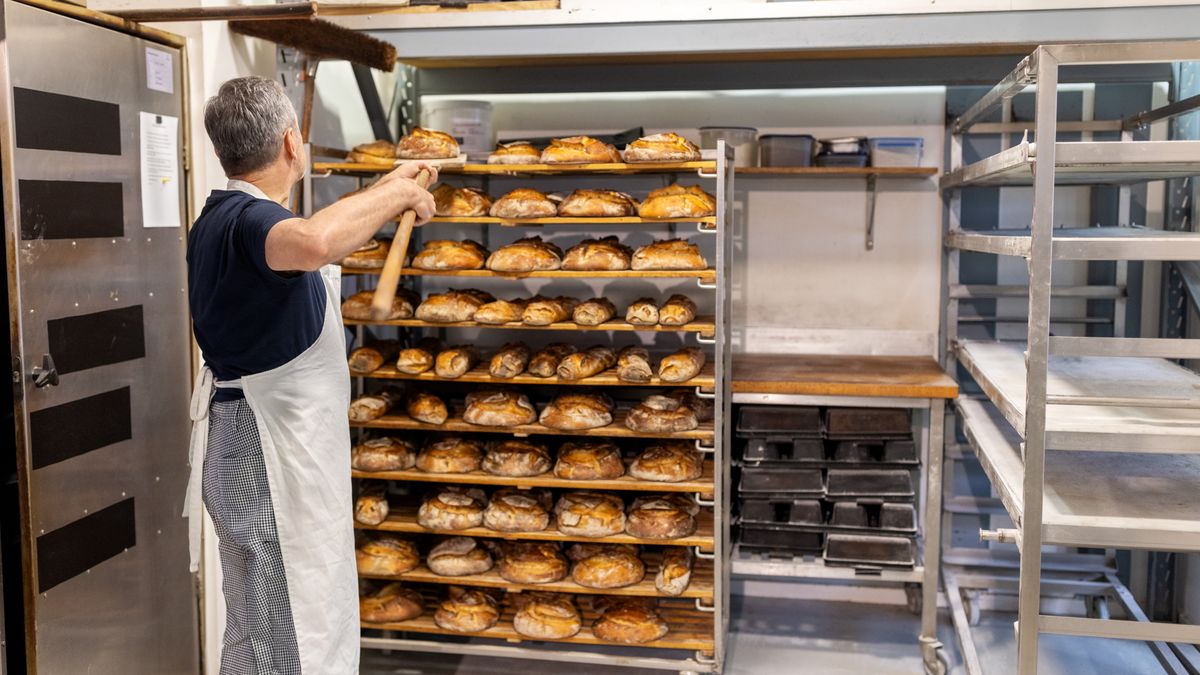 Znana sieć piekarni na sprzedaż