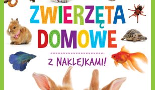 Wszystko wiem! Zwierzęta domowe