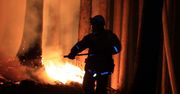 Japonia walczy z ogniem. Największe pożary od 30 lat