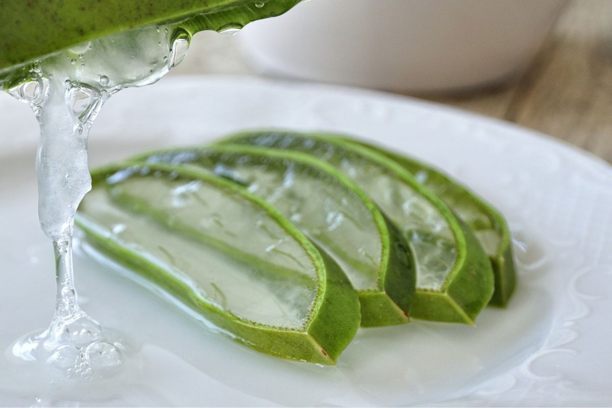 Why is it worth using aloe?