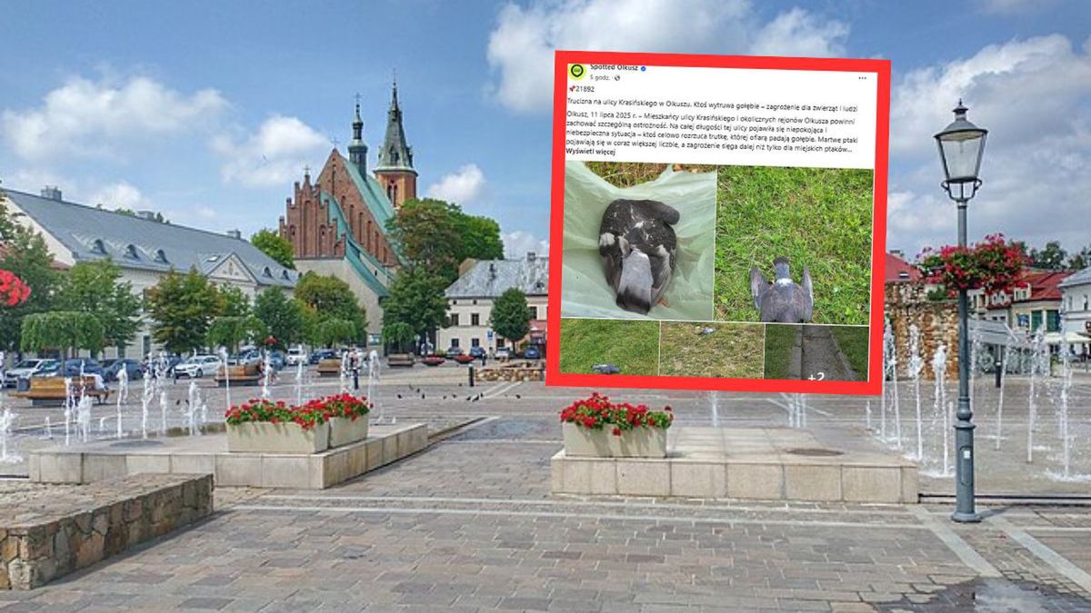 Zatrute ulice Olkusza – mieszkańcy biją na alarm