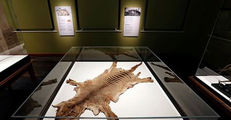 Szukali jej od ponad 80 lat. Była cały czas ukryta w szafce