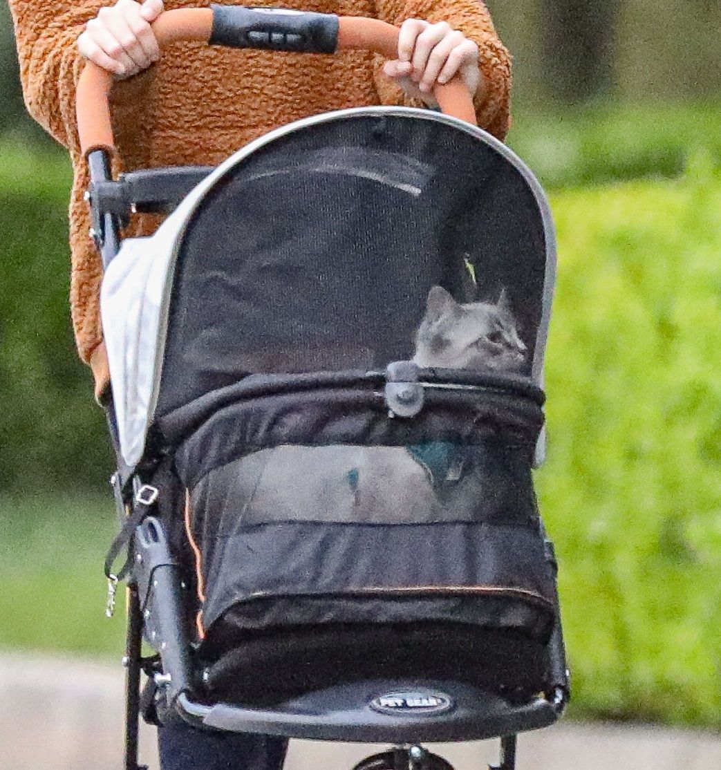 Jennifer Garner