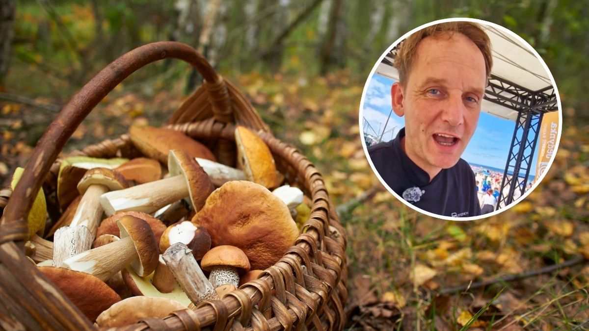 Wysyp grzybów ucieszył Pascala Brodnickiego. 