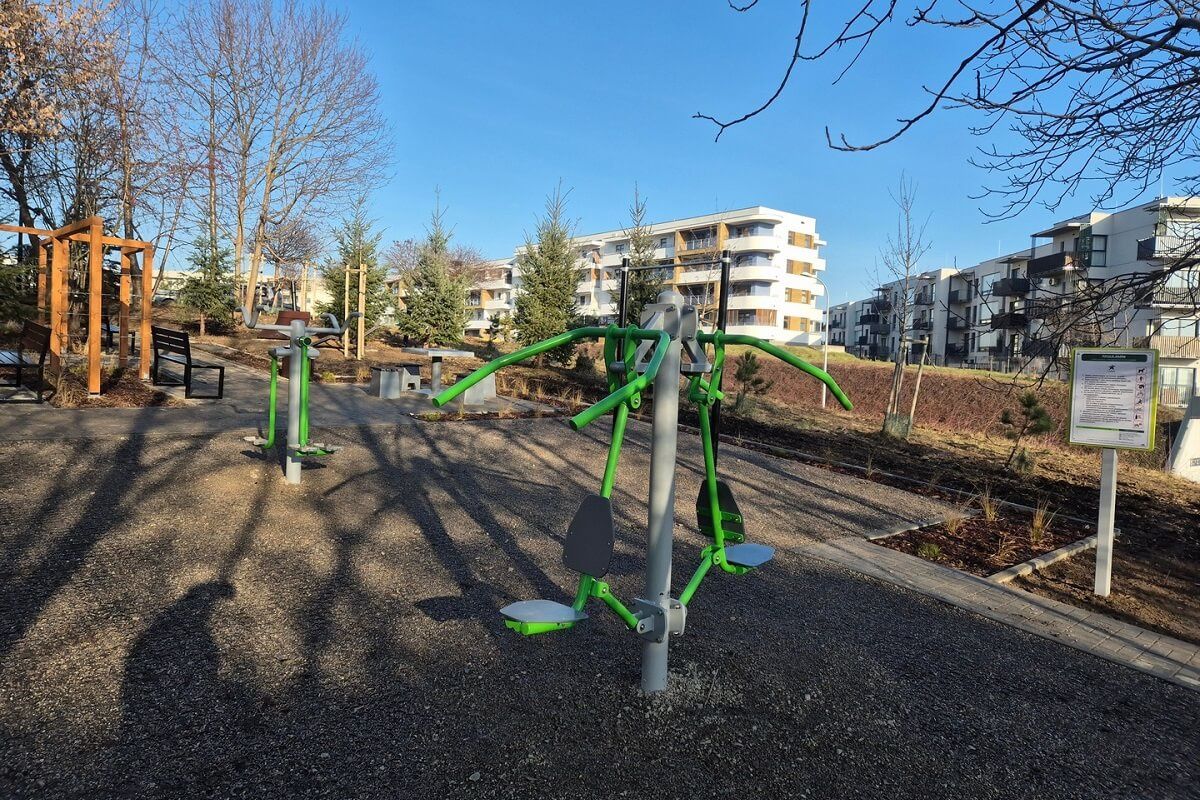 Gaj nad Skarpą na ul. Cyprysowej