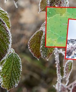 Śnieg w prognozie. Idzie rewolucja w pogodzie