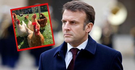 Macron uderzył w "króla kurczaków" z Ukrainy. Teraz nadszedł kontratak