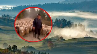 Rozpoczął się najbardziej niesamowity redyk w Polsce. Trasa liczy 180 km