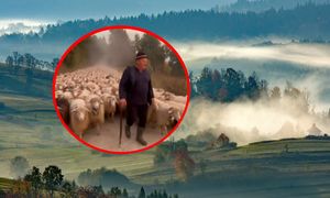 Rozpoczął się najbardziej niesamowity redyk w Polsce. Trasa liczy 180 km