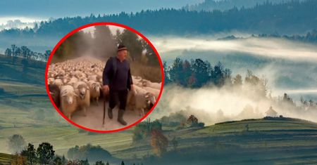 Rozpoczął się najbardziej niesamowity redyk w Polsce. Trasa liczy 180 km
