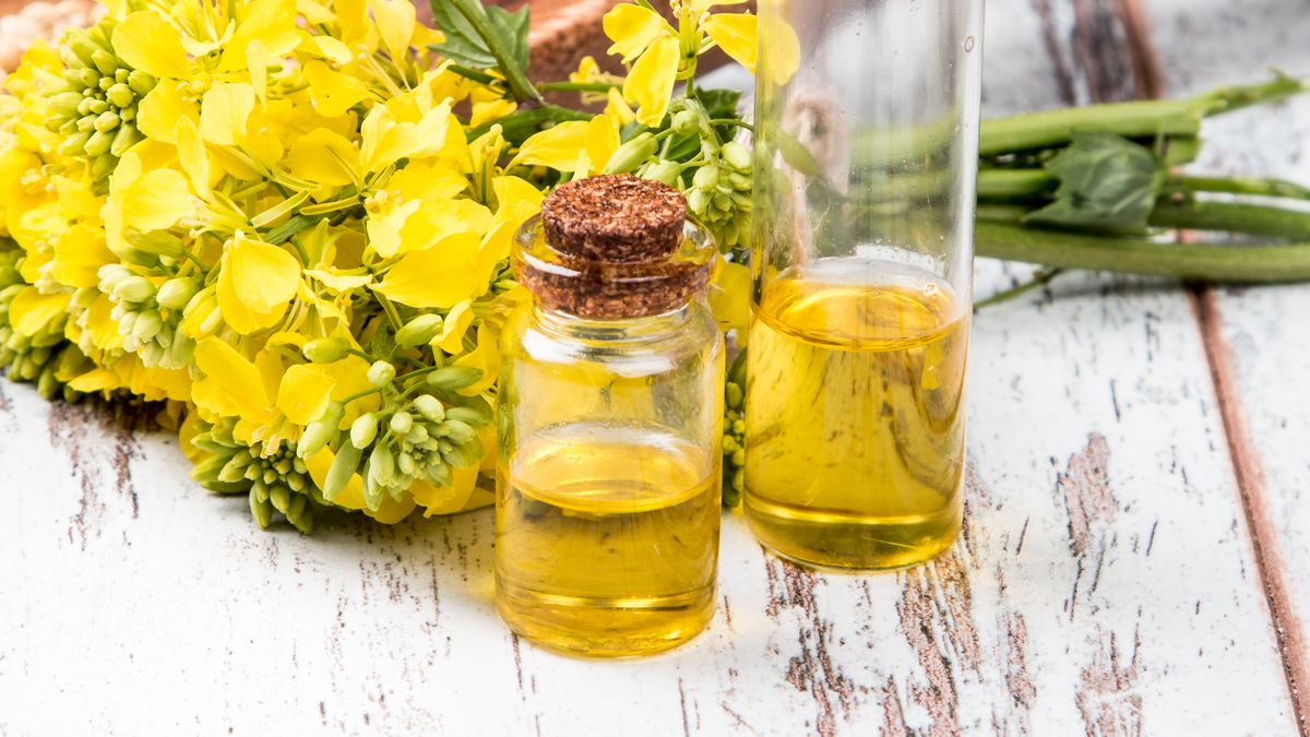 Przemysłowy olej rzepakowy wysoko oleinowy