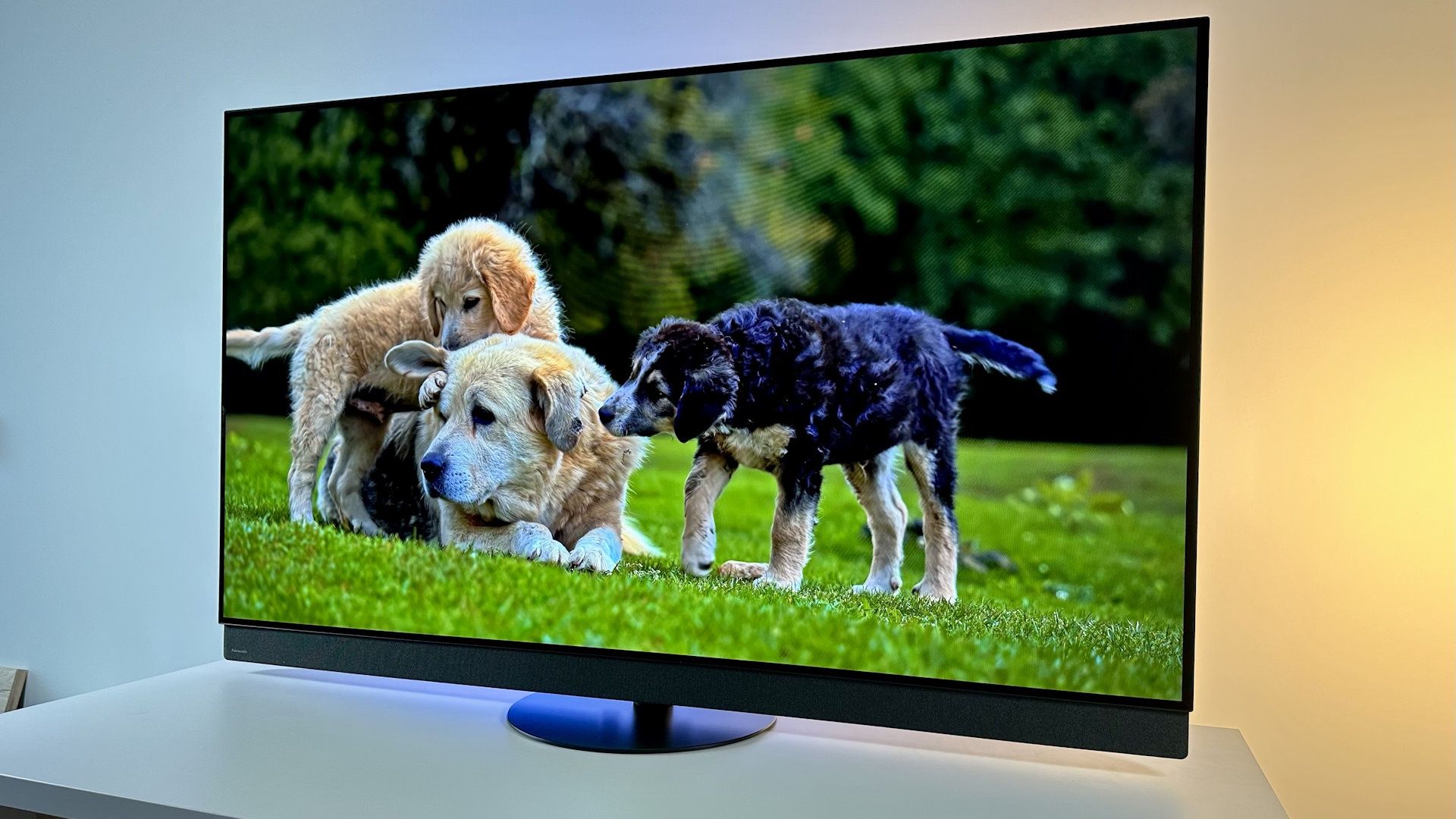 Panasonic TV-65Z95B - z prawej