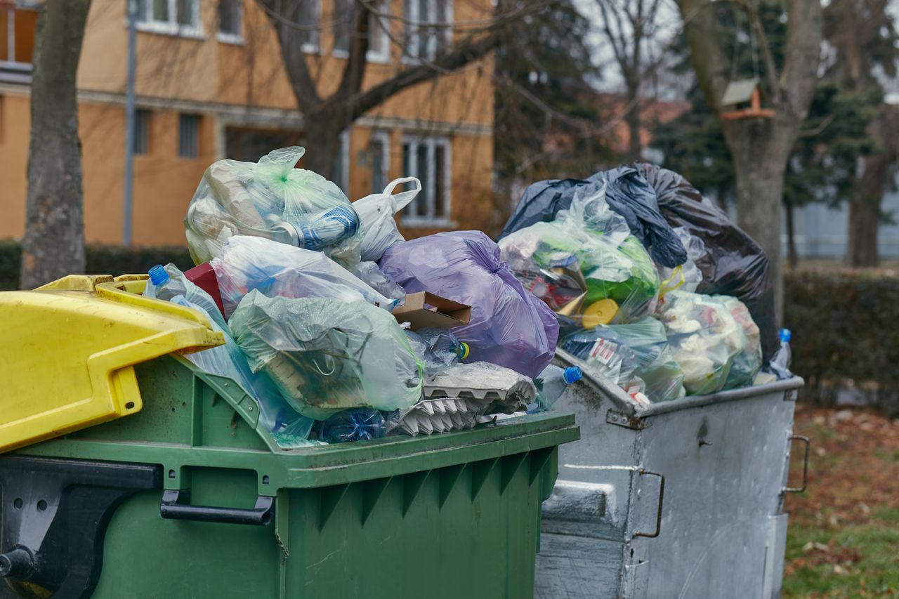 Nigdy nie wyrzucaj tego na śmietnik - zdjęcie poglądowe