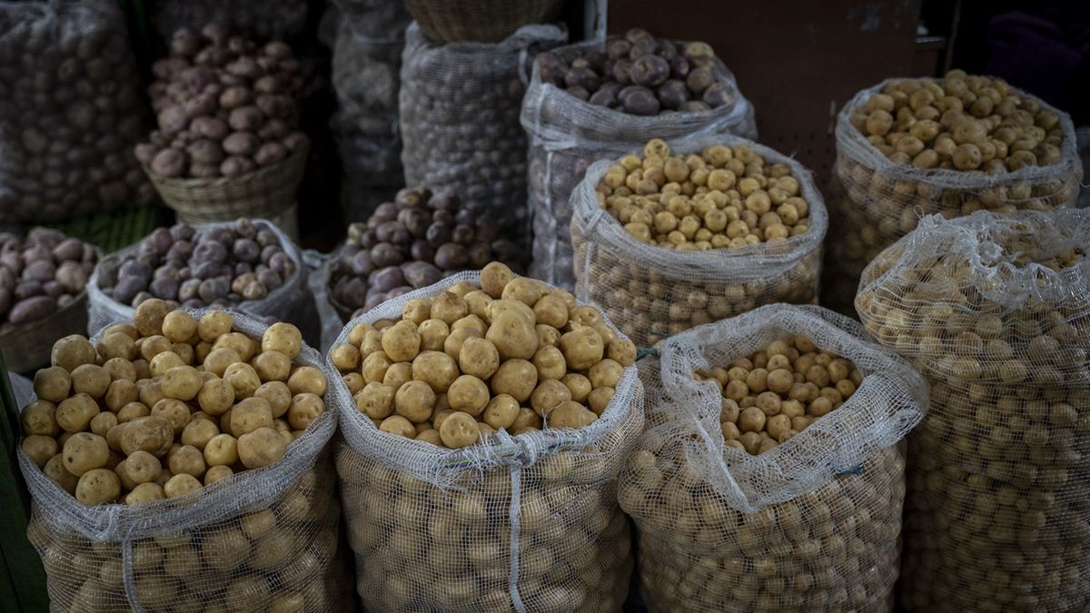 Ziemniaki sprzedawała za 1 zł.