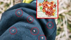 Plaga kleszczy. Wiadomo, skąd pochodzi najwięcej zgłoszeń