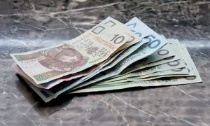 Wsteczne 800 plus dla seniorów. Oto szczegóły