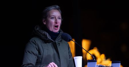Protesty w Hamburgu. Liderka AfD porównała uczestników do bojówek NSDAP