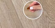Mało znany sposób na usuwanie rys z podłogi. Wystarczy potrzeć