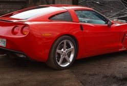 Amerykański Włoch prosto z Czech