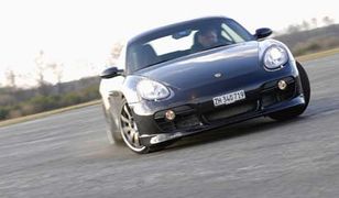 Szybki krokodyl - Cayman Sportec SP 380