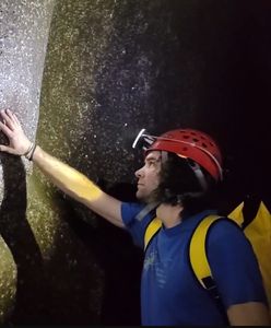 Widok, jak z filmu. Gigantyczna pajęczyna i tysiące osobników